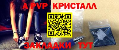СК Новодвинск