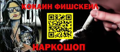 СК Новодвинск