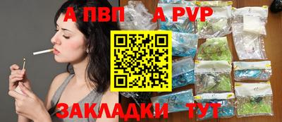 СК Новодвинск