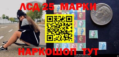 СК Новодвинск