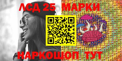 шишки Новозыбков
