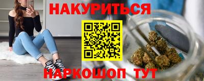 СК Новодвинск