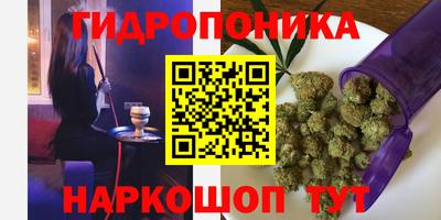 шишки Новозыбков
