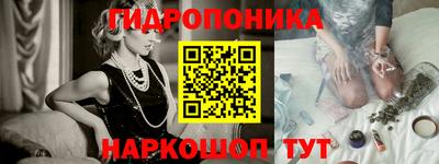 шишки Новозыбков