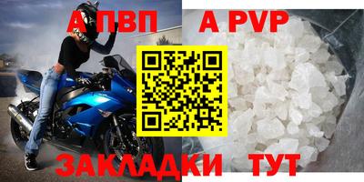 СК Новодвинск