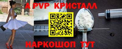 СК Новодвинск