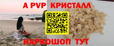 шишки Новозыбков