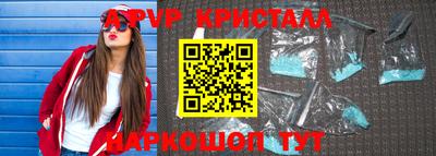 СК Новодвинск
