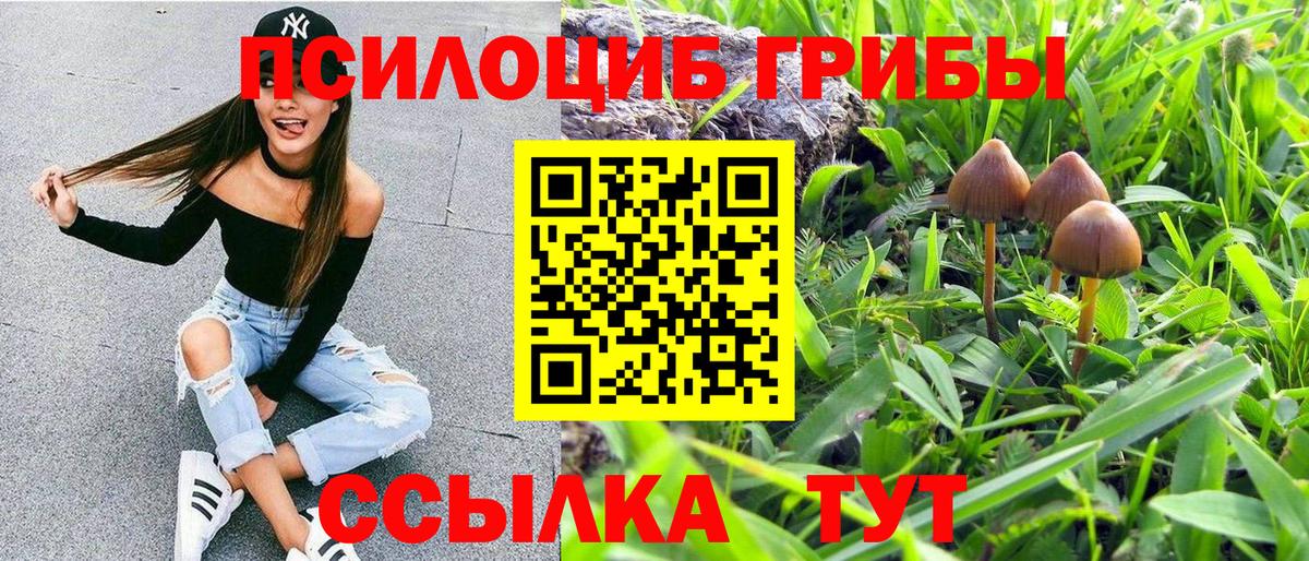 Галлюциногенные грибы прущие грибы Петровск